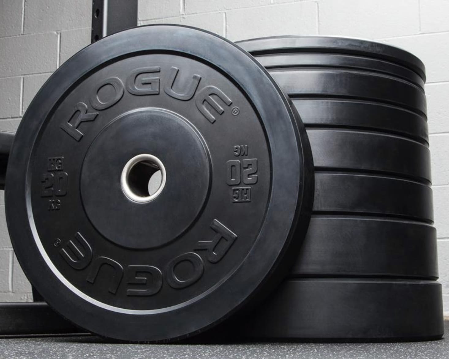 Rogue 230 lb bumper set outlet